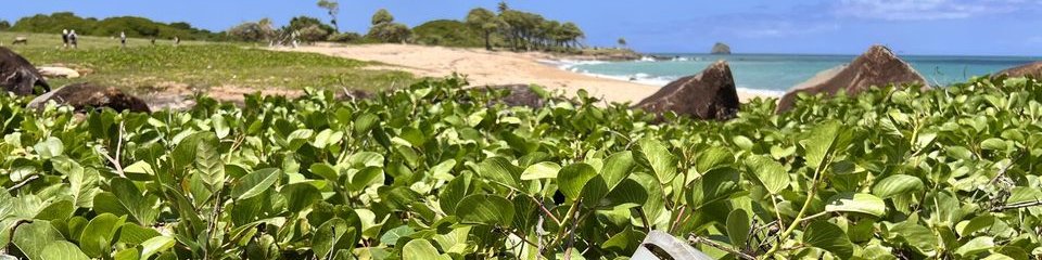 Histoire de Sainte-Rose