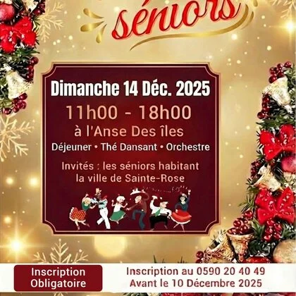 Noël des séniors 2025
