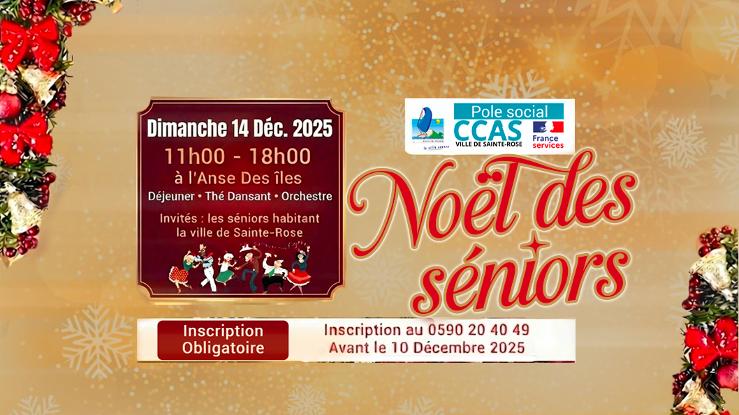 Noël des séniors 2025
